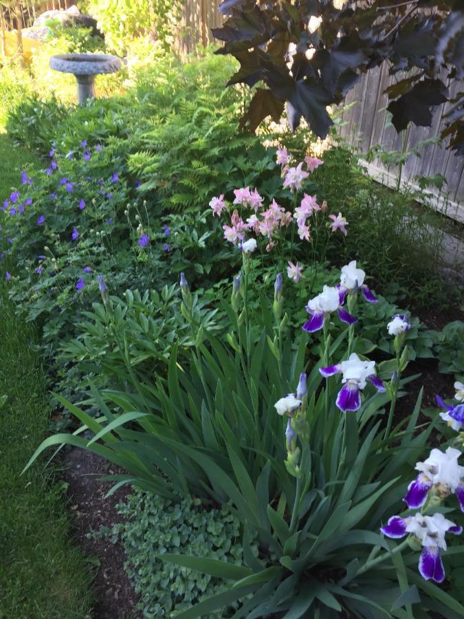 Quiet Resting Place YYC Buitenkant foto